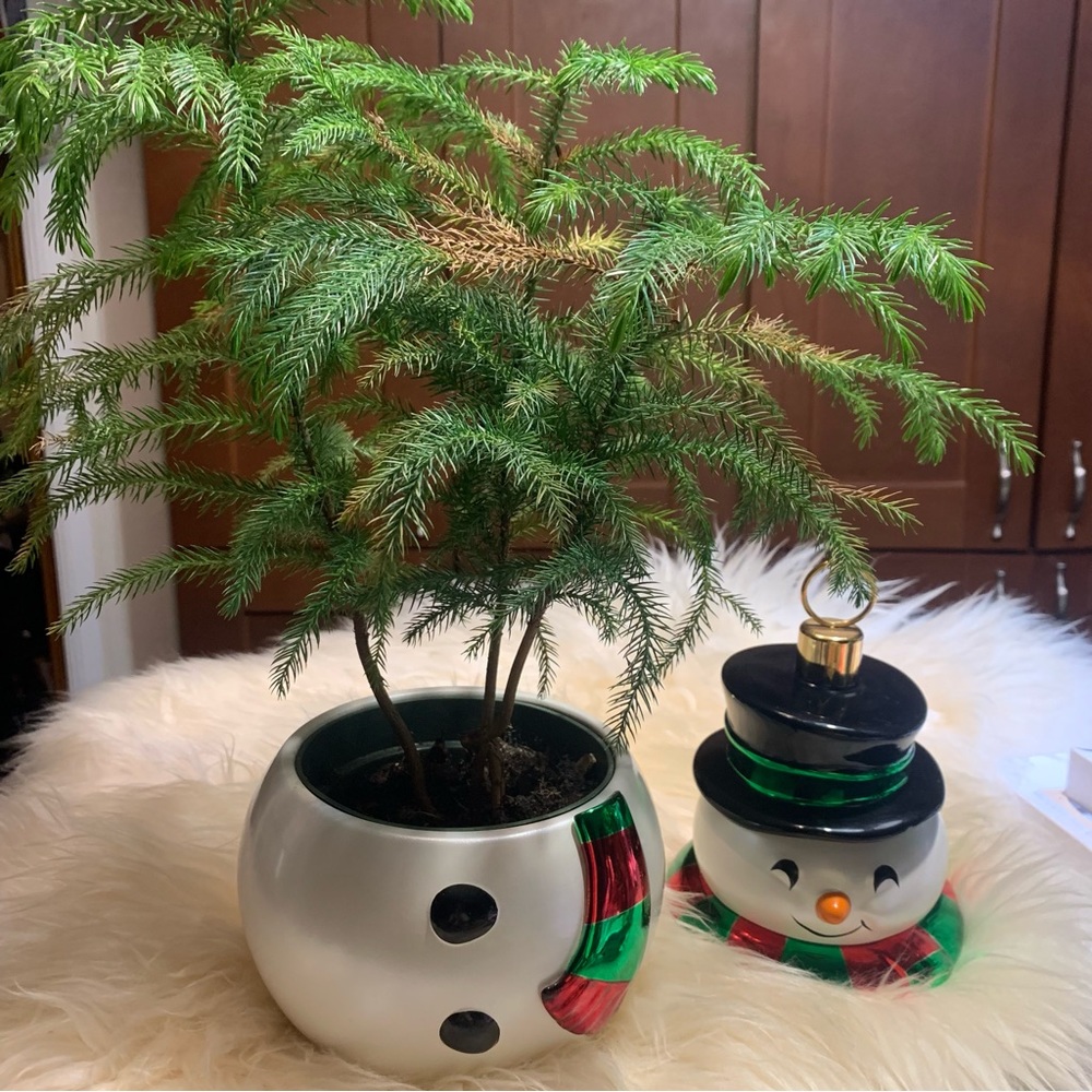 Snowman planter or cookie jar